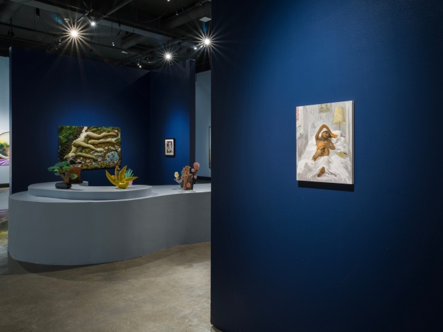 FULL DISCLOSURE: Selections from the Thomas-Suwall Collection (Installation View) Plains Art Museum, Fargo, ND, April 20 &amp;ndash; October 20, 2024. Photo: Sean Fader.