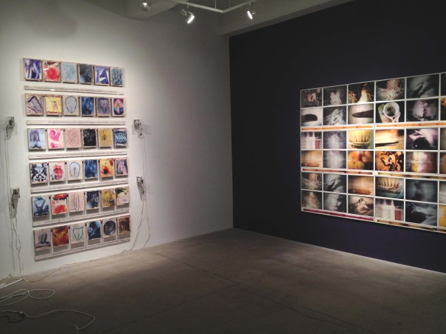 Flange 6rpm, 2013 install 7