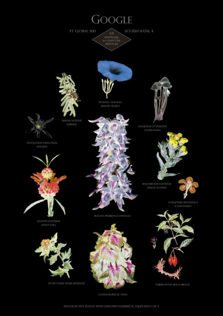 Suzanne Treister
HFT The Gardener/ Botanical Prints/ Rank 4: Google &amp;ndash; US &amp;ndash; Software &amp;amp; computer services, 2014-15
Archival giclee prints on Hahnemuhle Bamboo paper, Edition of 15
11.7 x 16.5 ins
29.7 x 42 cm