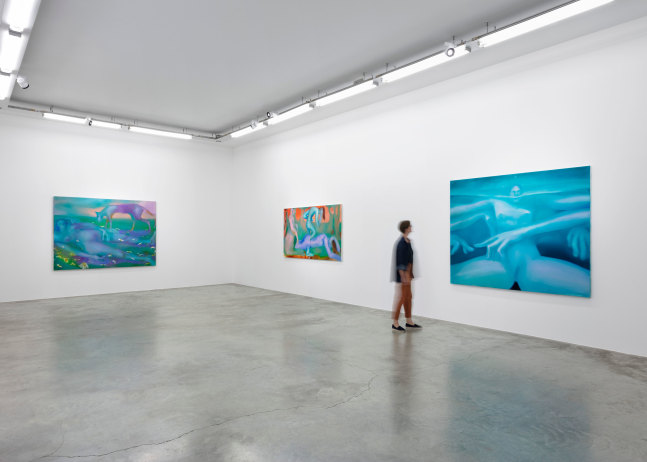 Elizabeth Glaessner, Dead Leg, installation view 1