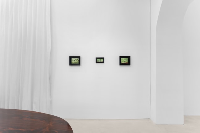 The Hunger (Installation View) Mendes Wood DM, Paris, France, April 3 &amp;ndash; May 17, 2025. Photo: Nicolas Brasseur.&amp;nbsp;