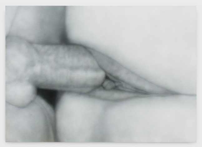 Betty Tompkins
Fuck Painting #52, 2014
acrylic on canvas
60 x 84 ins.
152.4 x 213.4 cm