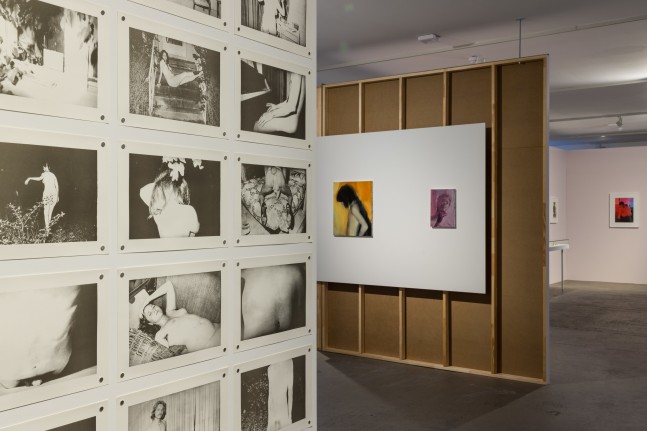 Jimmy DeSana, 101 Nudes, 1972/1991. Courtesy Jimmy DeSana Trust; P&amp;middot;P&amp;middot;O&amp;middot;W, New York; Meyer Riegger, Berlin/Karlsruhe/Basel; and Amanda Wilkinson Gallery, London &amp;copy; Jimmy DeSana Trust (front). Paul P., Untitled, 2013. Courtesy the artist; Maureen Paley, London; Greene Naftali, New York; Cooper Cole, Toronto; and Massimo Minini, Brescia &amp;copy; the artist (back, left) and Paul P., Untitled, 2020. Courtesy collection Joshua I. Silver, London &amp;copy; the artist (back, right). Installation view of the exhibition Jimmy DeSana &amp;amp; Paul P. &amp;ndash; Ruins of Rooms at KW Institute for Contemporary Art, Berlin 2024, Photo: Frank Sperling.&amp;nbsp;