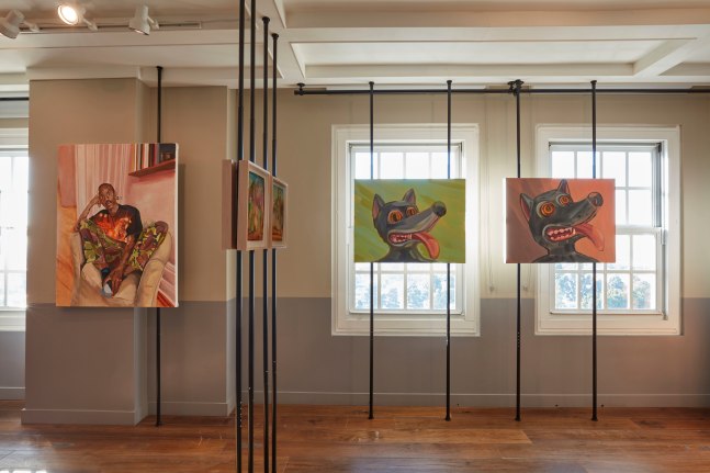 Felix 2020 install 2