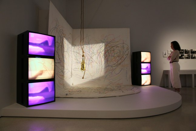 Carolee Schneemann: Body Politics, installation view 6