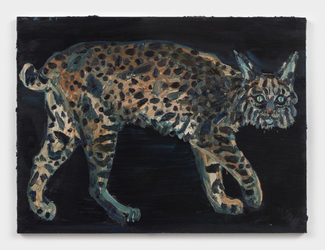 Allison Schulnik
Water Plate Bobcat #2, 2021
oil on canvas stretched over panel
36 x 48 ins.
91.4 x 121.9 cm