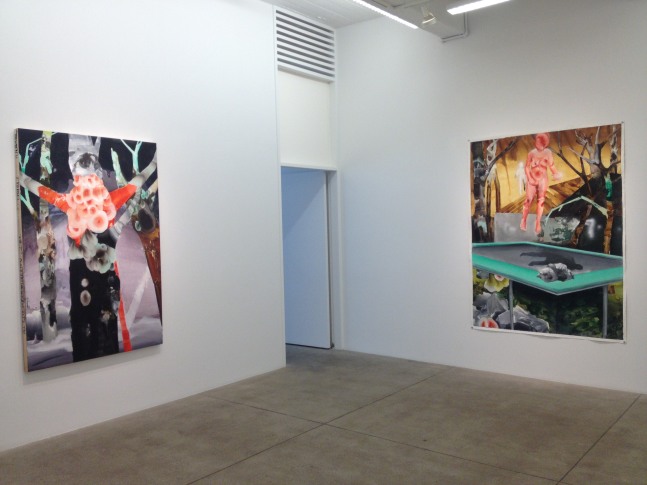 Elizabeth Glaessner, All this happened, more or less install 5