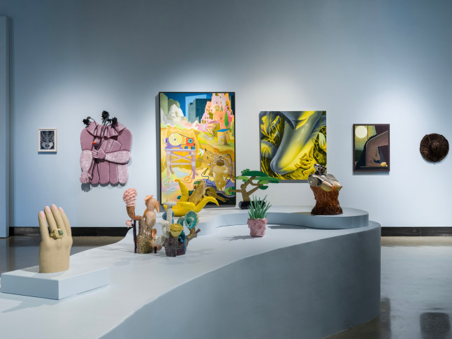 FULL DISCLOSURE: Selections from the Thomas-Suwall Collection (Installation View) Plains Art Museum, Fargo, ND, April 20 &amp;ndash; October 20, 2024. Photo: Sean Fader.