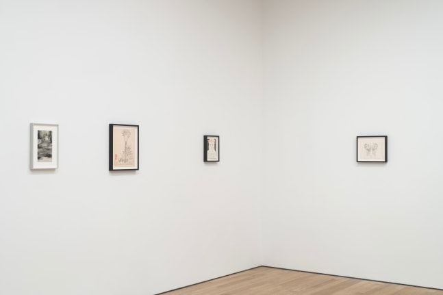 Martin Wong and Paul P.