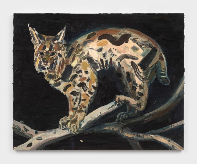 Allison Schulnik
Water Plate Bobcat #1, 2021
oil on canvas stretched over panel
48 x 60 ins.
121.9 x 152.4 cm