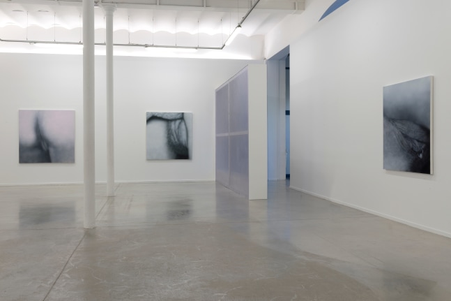 Installation View, Betty Tompkins: Raw Material, MO.CO Montpellier Contemporain, France. Photo by Marc Domage