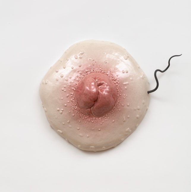 Jessica Stoller, Untitled (pink)