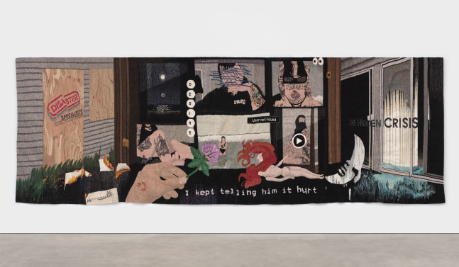 Erin M. Riley, The Hidden Crisis, 2022