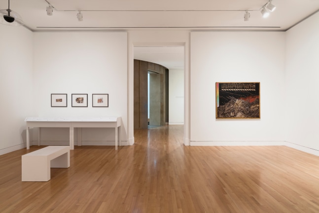 Twilight Child: Antonia Kuo and Martin Wong (Installation View) Frye Art Museum, Seattle, WA June 15 &amp;ndash;September 15, 2024. Photo: Jueqian Fang.