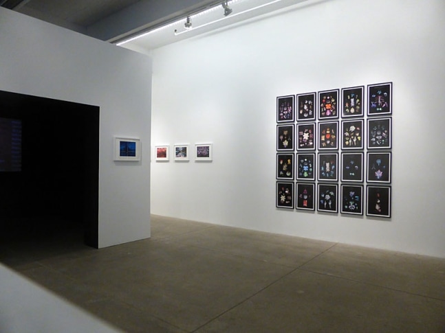 HFT The Gardener, install 1