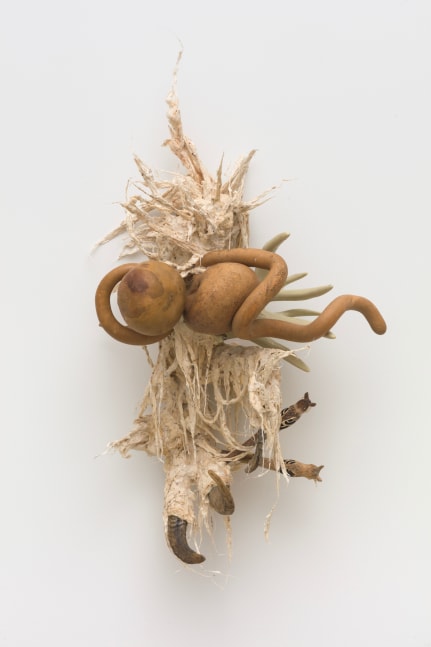 Guadalupe Maravilla
Ancestral Stomach 3, 2021
dried gourd with mixed media
38 x 20 x 12 3/4 ins.
96.5 x 50.8 x 32.4 cm