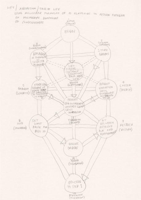 Suzanne Treister, HFT The Gardener/Diagrams/Trading Algorithm using Molecular Formulae of 10 Alkaloids to return feedback on Holographic Dimensions of Consciousness (Tree of Life), 2015