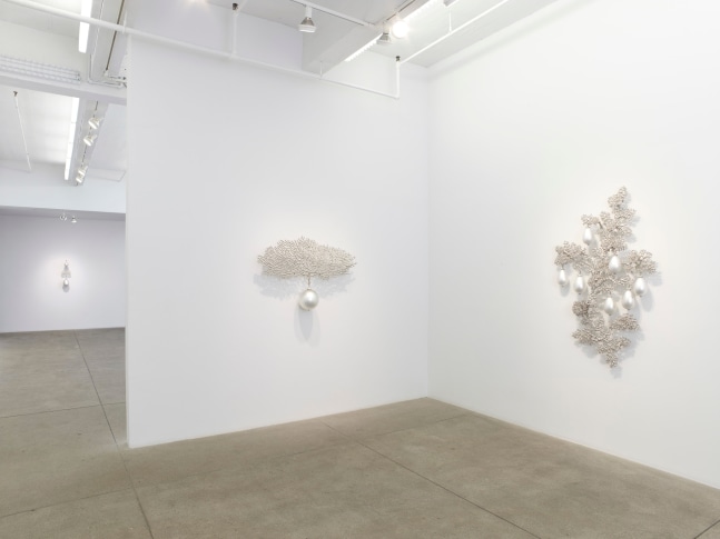 Supernatural, install 5