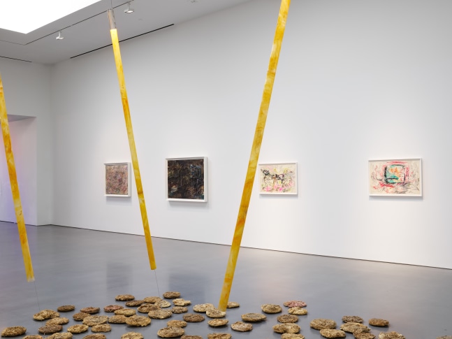 Carolee Schneemann (Installation View) Lisson Gallery, Los Angeles, CA, April 11 &amp;ndash; May 24, 2025