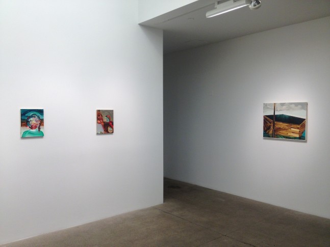 Elizabeth Glaessner, All this happened, more or less install 11