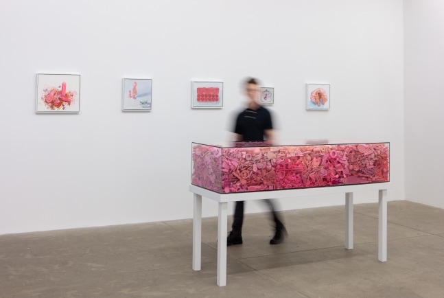 Portia Munson, The Garden, install 8