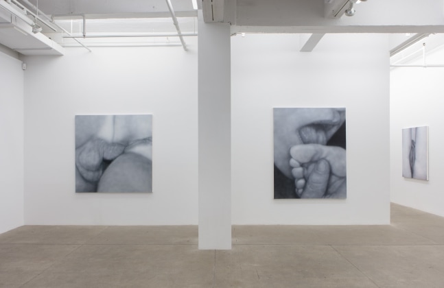 Betty Tompkins, Virgins, install 1