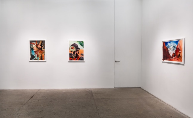 Elizabeth Glaessner, All this happened, more or less install 1