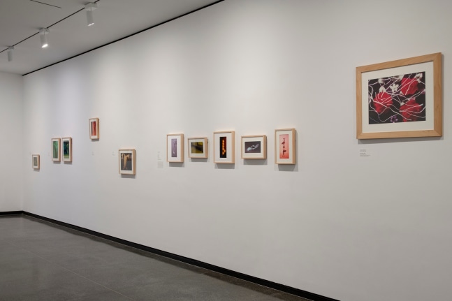 Jimmy DeSana: Submission