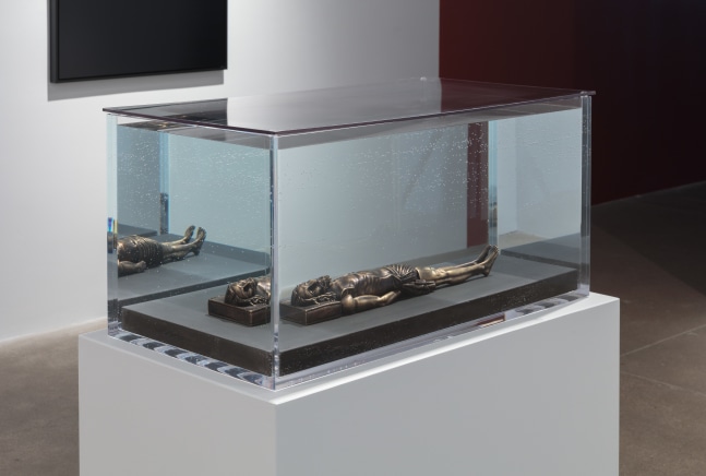 Carlos Motta, Conatus install 4