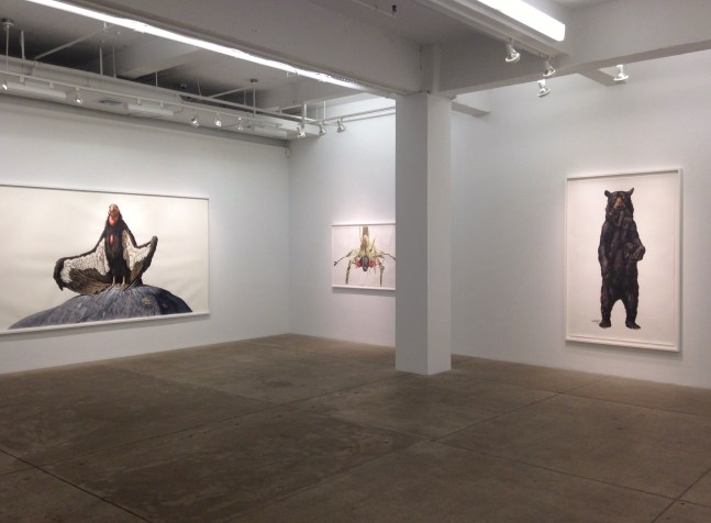 George Boorujy, Passenger install 7