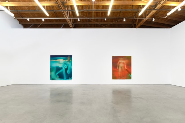 Now you&amp;#39;re a lake&amp;nbsp;(Installation View)&amp;nbsp;Fran&amp;ccedil;ois Ghebaly, Los Angeles, California, April 6 &amp;ndash; May 11, 2024. Photo: Unknown