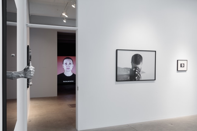 Carlos Motta, Conatus install 3