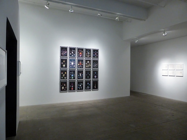 HFT The Gardener, install 2