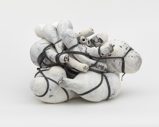 Annabeth Rosen, Swoll, 2012