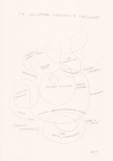 Suzanne Treister, HFT The Gardener/Diagrams/The Holographic Dimensions of Consciousness, 2015