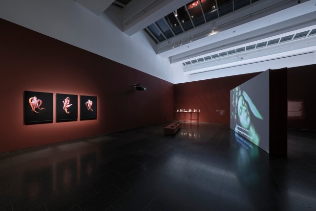 Installation view of Pleas of Resistance. Courtesy of MACBA. Photo by Miquel Coll.