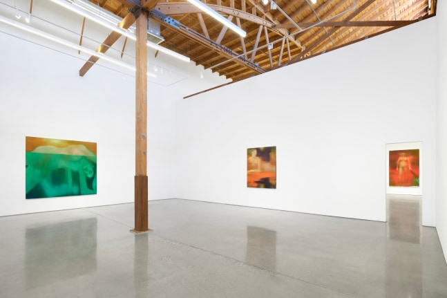 Now you&amp;#39;re a lake&amp;nbsp;(Installation View)&amp;nbsp;Fran&amp;ccedil;ois Ghebaly, Los Angeles, California, April 6 &amp;ndash; May 11, 2024. Photo: Unknown