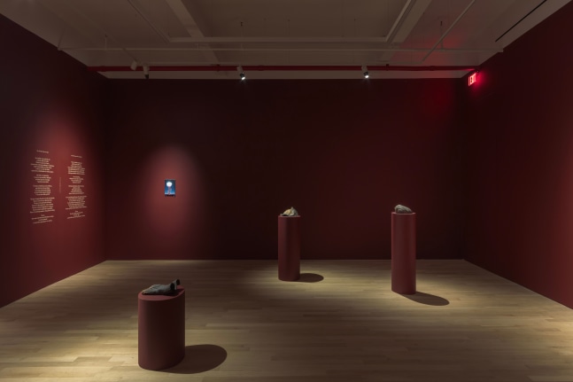 Daniel Correa Mej&iacute;a