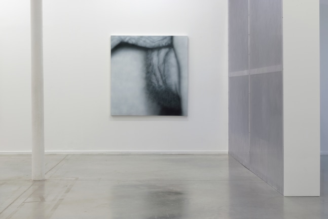 Installation View, Betty Tompkins: Raw Material, MO.CO Montpellier Contemporain, France. Photo by Marc Domage