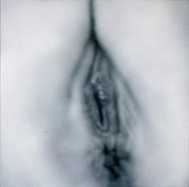 Betty Tompkins, Pussy Painting #22, 2012