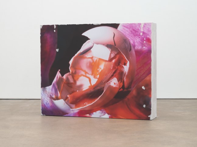 Diane Severin Nguyen
Thirst for Love, 2024
vinyl, MDF, velvet
40 x 50 x 9 1/2 ins.
101.6 x 127 x 24.1 cm