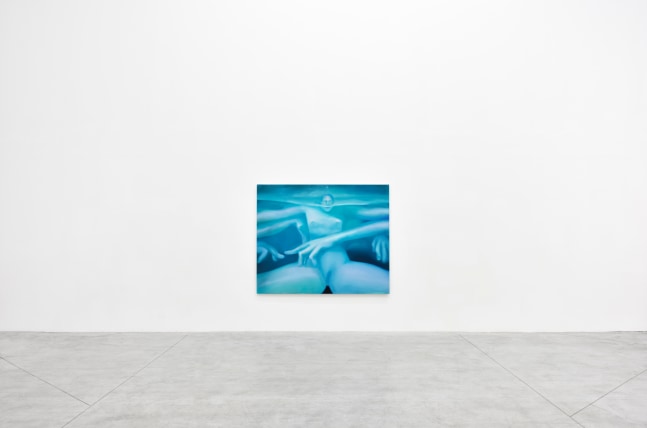 Elizabeth Glaessner, Le Consortium, install 4