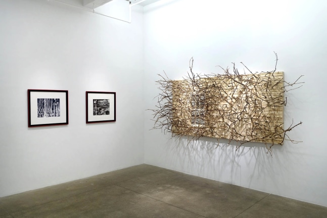 Visual Notes for an Upside Down World, install 5