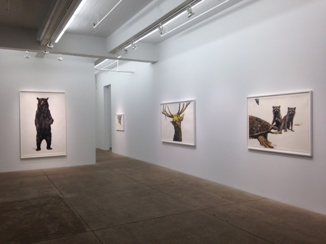 George Boorujy, Passenger install 8