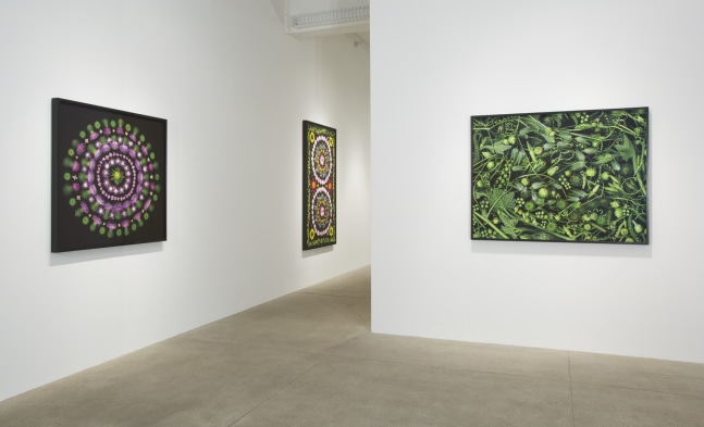 Reflecting Pool, 2013 install 5