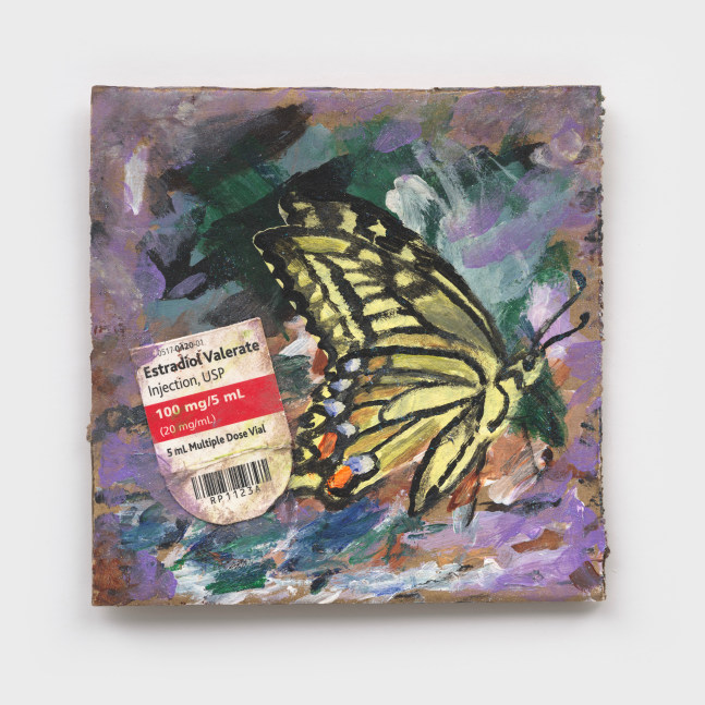 Jay Lynn Gomez
butterfly for my 2 year anniversary of starting HRT, 2024
acrylic and mixed media on cardboard
5 3/4 x 5 1/2 ins.
14.6 x 14 cm
(GOMEZ-202)