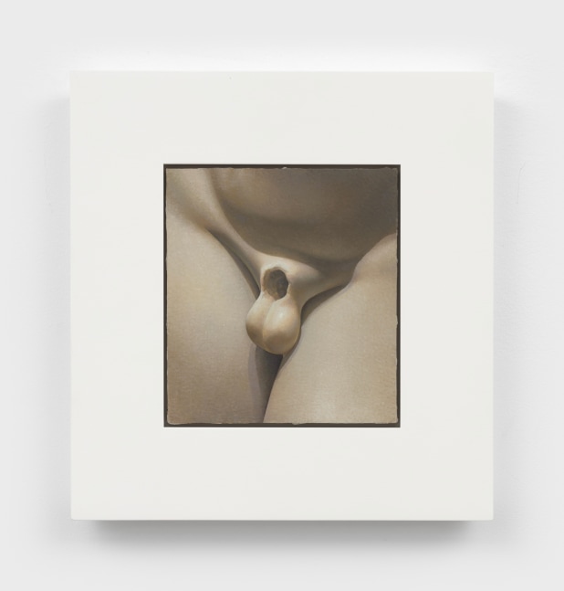 Joe Houston
Damage II, 2021
oil on linen mounted to wood
7 1/2 x 6 3/4 ins.
19.1 x 17.1 cm