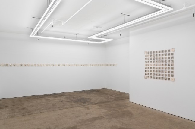 Installation view of 40 Years. Courtesy of the Artist and Public Gallery.