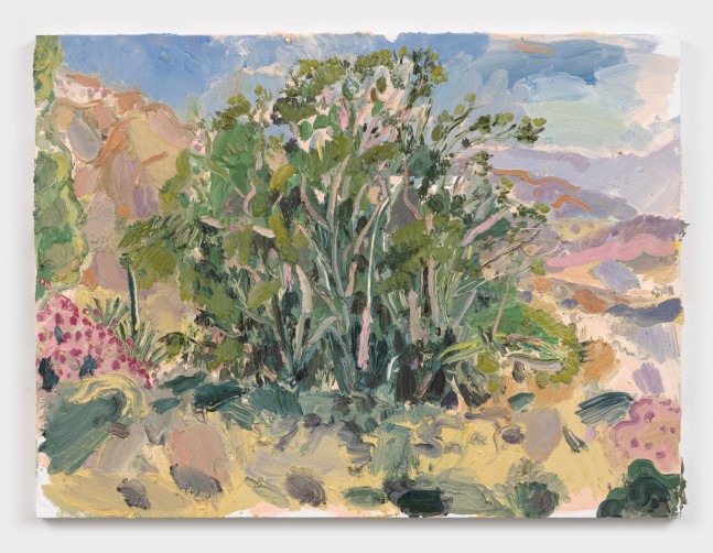 Allison Schulnik
Oleander With No Flowers #1, 2021
oil on canvas stretched over panel
36 x 48 ins.
91.4 x 121.9 cm