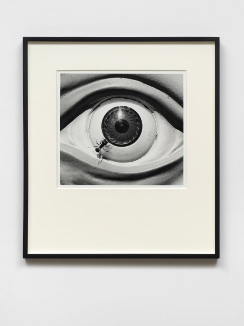 David Wojnarowicz
Untitled (eye with ants) from the Ant series, 1988-89
dated, titled, signed on verso
gelatin silver print
11 3/4 x 13 in.
29.8 x 33 cm